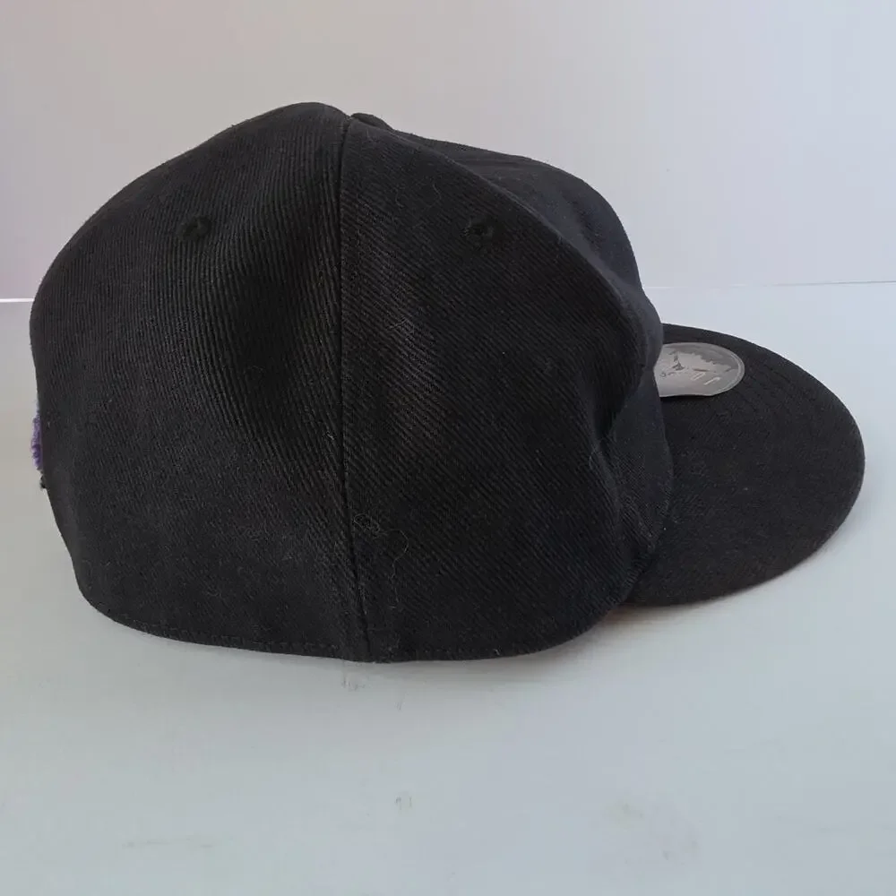 2004 Nike Air Jordan 23 Fitted Hat, Y2K, Black & Purple Cap Size 7 1/8